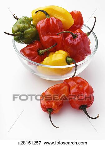Scotch bonnet chilli peppers View Large Photo Image Stock Photo - Scotch bonnet chilli peppers. Fotosearch