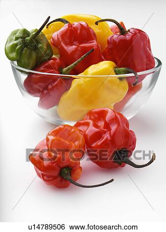 Stock Photograph - Scotch bonnet chilli peppers. Fotosearch
