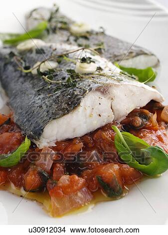 Picture - Sea bass fillet. Fotosearch