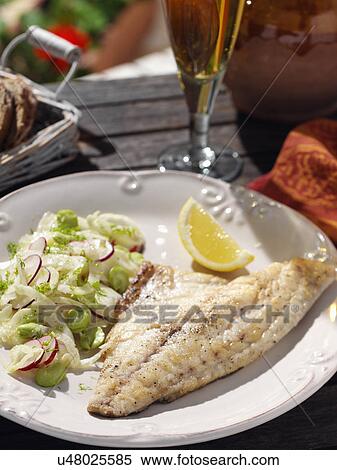 Stock Photography - Sea bream with fennel and radish salad. Fotosearch