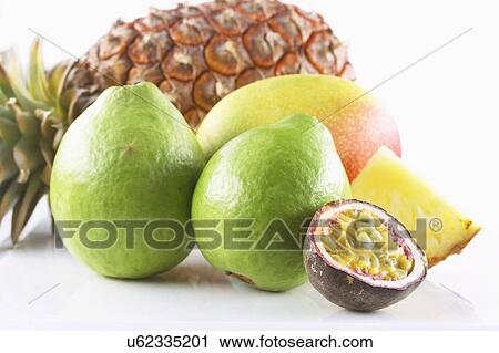 Selection Of Tropical Fruit On White Background View Large Photo Image Stock Image - Selection Of Tropical Fruit On White Background. Fotosearch