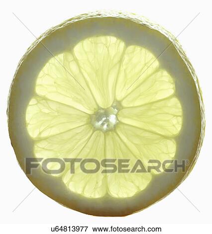 Slice Of Lemon On White Background View Large Photo Image Stock Photo - Slice Of Lemon On White Background. Fotosearch