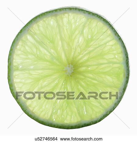 Slice Of Lime On White Background View Large Photo Image Picture - Slice Of Lime On White Background. Fotosearch