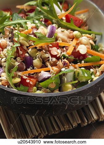 Sprouting bean salad View Large Photo Image Stock Image - Sprouting bean salad. Fotosearch