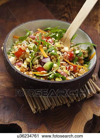 Sprouting bean salad View Large Photo Image Stock Image - Sprouting bean salad. Fotosearch