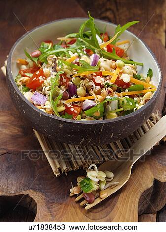 Sprouting bean salad View Large Photo Image Stock Image - Sprouting bean salad. Fotosearch