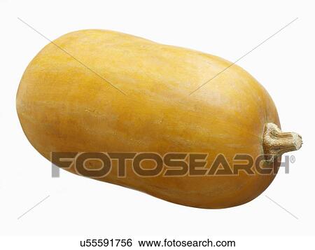 Squash View Large Photo Image Stock Photograph - Squash. Fotosearch
