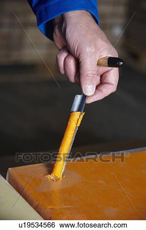 Stock Photograph - Taking Sample Of Cheese To Check Quality. Fotosearch