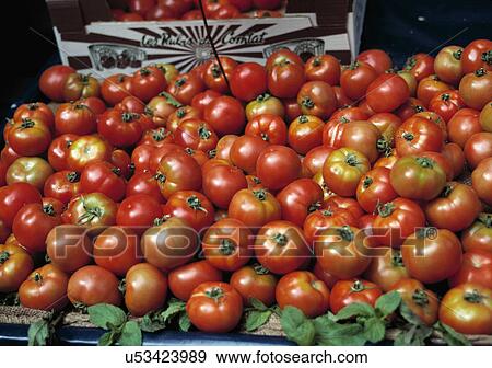 Tomatoes at local market, France. View Large Photo Image Stock Photo - Tomatoes at local market, France.. Fotosearch