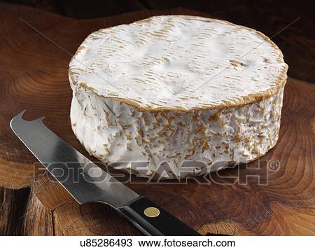 Tunworth cheese View Large Photo Image Stock Image - Tunworth cheese. Fotosearch