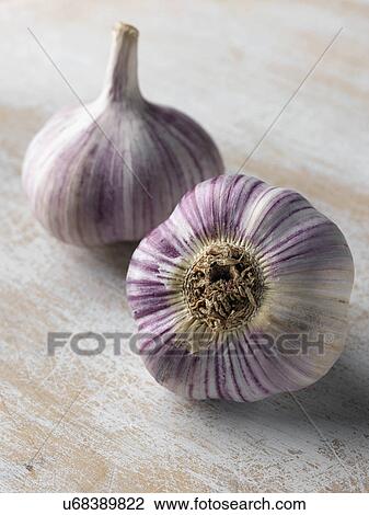 Two heads of garlic View Large Photo Image Stock Image - Two heads of garlic. Fotosearch