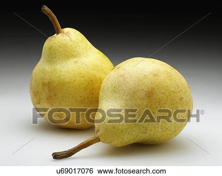 Two whole ripe pears View Large Photo Image Stock Photograph - Two whole ripe pears. Fotosearch
