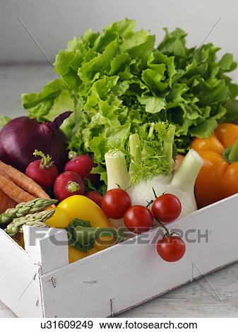 Stock Photo - Vegetables. Fotosearch