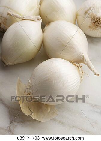 White cooking onions View Large Photo Image Stock Image - White cooking onions. Fotosearch