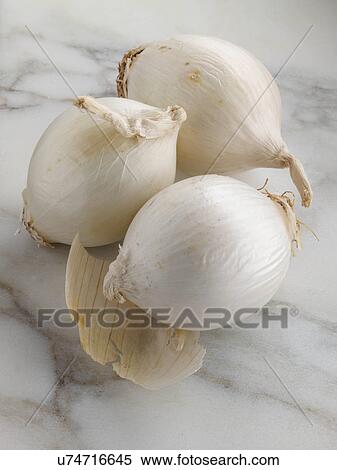 Stock Photography - White cooking onions. Fotosearch