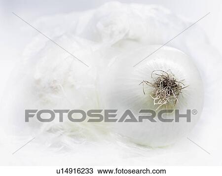 White onion close up View Large Photo Image Stock Image - White onion close up. Fotosearch