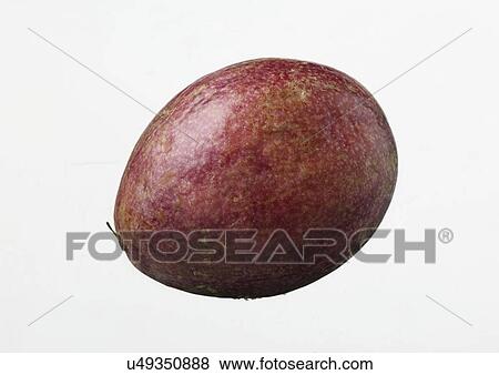 Whole passion fruit View Large Photo Image Stock Photo - Whole passion fruit. Fotosearch