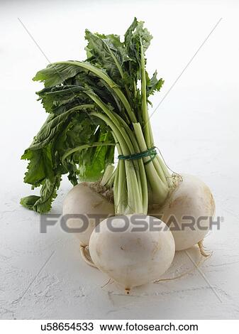 Whole raw fresh turnips on a neutral background View Large Photo Image Stock Image - Whole raw fresh turnips on a neutral background. Fotosearch