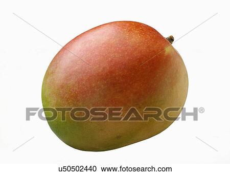 Whole ripe mango View Large Photo Image Stock Image - Whole ripe mango. Fotosearch