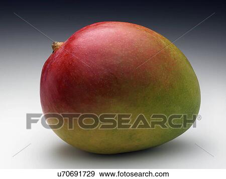 Whole ripe mango View Large Photo Image Stock Photo - Whole ripe mango. Fotosearch