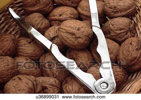 Wicker basket of walnuts with nutcracker View Large Photo Image Stock Image - Wicker basket of walnuts with nutcracker. Fotosearch