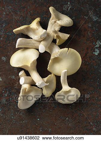 Stock Image - Yellow oyster mushrooms. Fotosearch