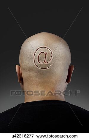 Stock Photo - Back view of a bald man's head . Fotosearch