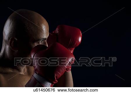 Boxer guarding his face View Large Photo Image Stock Photograph - Boxer guarding his face . Fotosearch