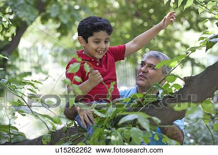 Boy playing with plants while sitting on a tree branch View Large Photo Image Stock Image - Boy playing with plants while sitting on a tree branch. Fotosearch