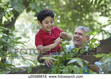 Boy playing with plants while sitting on a tree branch View Large Photo Image Stock Photo - Boy playing with plants while sitting on a tree branch. Fotosearch