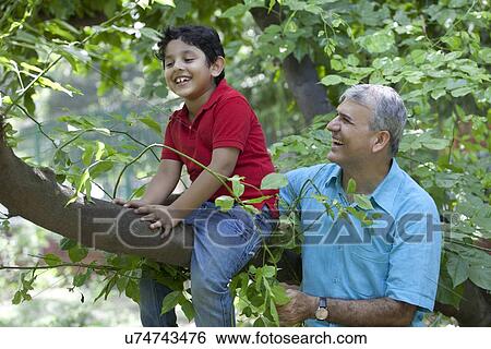 Boy sitting on a tree branch while grandfather looks on View Large Photo Image Stock Photograph - Boy sitting on a tree branch while grandfather looks on. Fotosearch