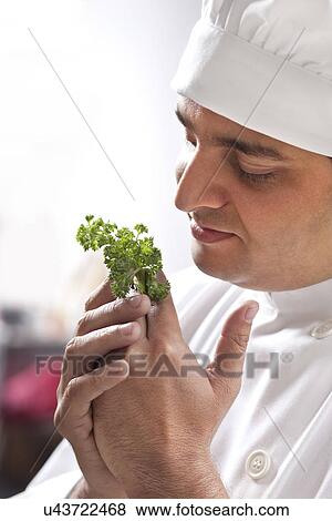 Stock Photo - Chef holding some herbs . Fotosearch