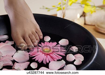 Close-up of a woman's feet and a bowl View Large Photo Image Picture - Close-up of a woman's feet and a bowl . Fotosearch