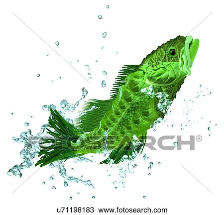 Fish made from vegetables View Large Photo Image Stock Image - Fish made from vegetables . Fotosearch