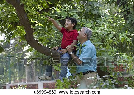Grandson pointing something out to grandfather View Large Photo Image Stock Photo - Grandson pointing something out to grandfather. Fotosearch