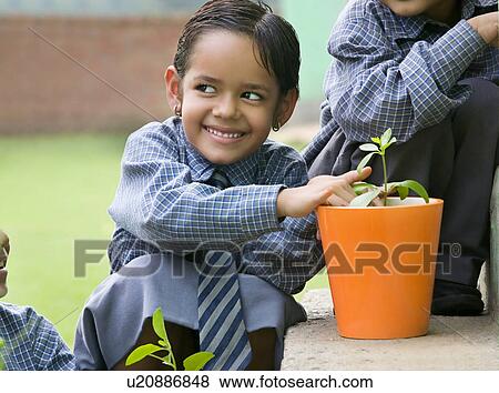 School girl planting a seedling in a pot View Large Photo Image Stock Photo - School girl planting a seedling in a pot . Fotosearch