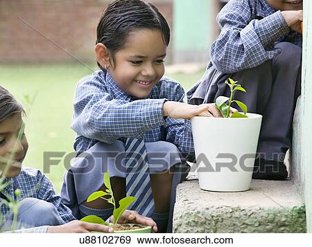 School girl planting a seedling in a pot View Large Photo Image Stock Photo - School girl planting a seedling in a pot . Fotosearch