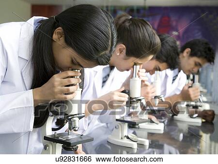 Students looking at slides with microscopes View Large Photo Image Stock Photograph - Students looking at slides with microscopes . Fotosearch