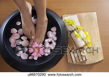 Woman soaking feet in bowl of water at spa View Large Photo Image Stock Image - Woman soaking feet in bowl of water at spa . Fotosearch
