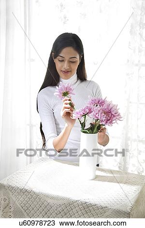 Young woman arranging flowers in a vase View Large Photo Image Stock Image - Young woman arranging flowers in a vase . Fotosearch