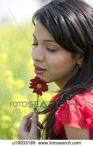 Young woman with a flower View Large Photo Image Stock Photo - Young woman with a flower . Fotosearch