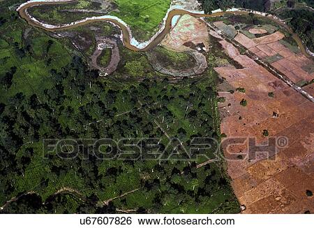 Aerial view of Brahmaputra river View Large Photo Image Stock Photograph - Aerial view of Brahmaputra river. Fotosearch