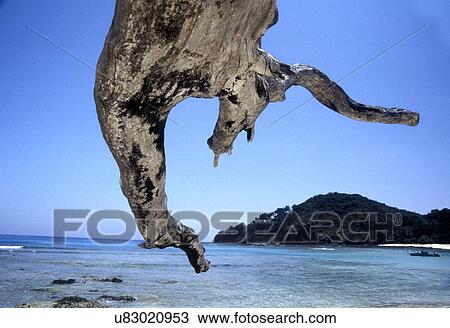 Andaman Sea from One of the Islands View Large Photo Image Stock Image - Andaman Sea from One of the Islands. Fotosearch