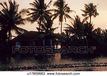 Stock Image - Backwaters of Kerala, India of Kerala, India. Fotosearch