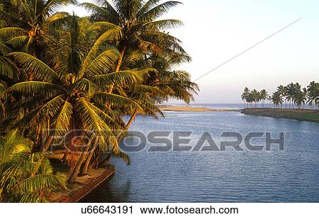 Backwaters View Large Photo Image Stock Image - Backwaters. Fotosearch
