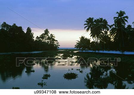 Backwaters View Large Photo Image Stock Photo - Backwaters. Fotosearch