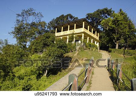 Birds suicide point View Large Photo Image Stock Image - Birds suicide point. Fotosearch