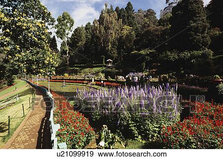 Botanical Gardens View Large Photo Image Stock Photo - Botanical Gardens. Fotosearch