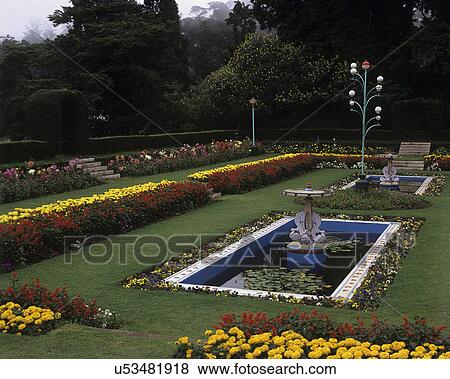 Botanical Gardens View Large Photo Image Stock Photo - Botanical Gardens. Fotosearch