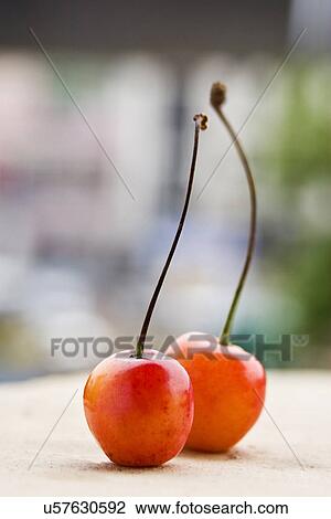Stock Image - Cherry. Fotosearch